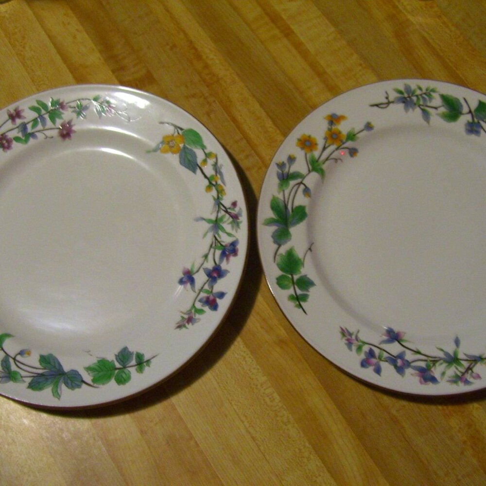 2 Citation Woodhill Dinner Plates 10.5" Floral